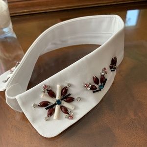 NEVER WORN clip on collar